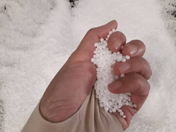 کود سولفات آمونیوم رازی ارتقا کیفیت برداشت محصولات باغی
